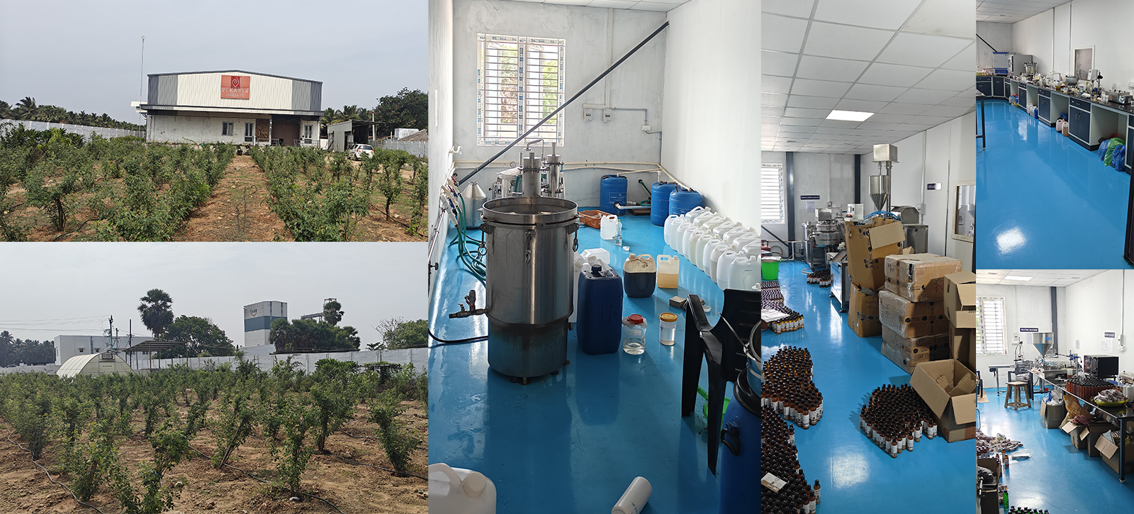 Vikarta Herbals Products